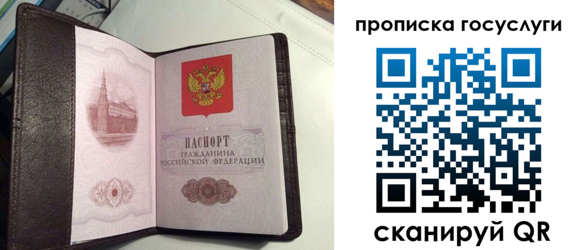 временная прописка в Ростове